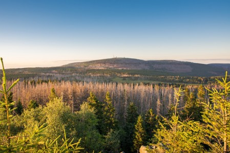 www.fewo-braunlage.com - Ihre Familienferienwohnung und Kinderferienwohnung Waldzwerge und Waldwichtel, komfortabel, günstig und preiswert in Braunlage. Ihre Ferienwohnung im Harz. Kinderfreundlich und Familienfreundlich.