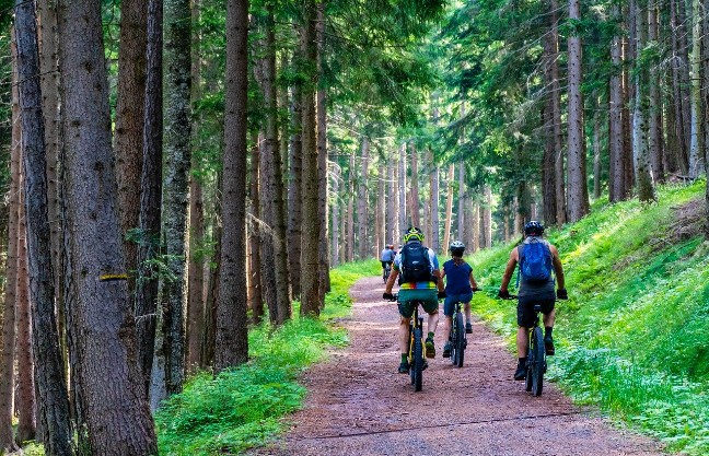 www.fewo-braunlage.com - Ihre Familienferienwohnung und Kinderferienwohnung Waldzwerge und Waldwichtel, komfortabel, günstig und preiswert in Braunlage. Ihre Ferienwohnung im Harz. Kinderfreundlich und Familienfreundlich.